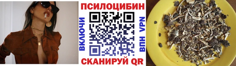 Купить закладки  Ногинск  Псилоцибиновые грибы Psilocybine cubensis 